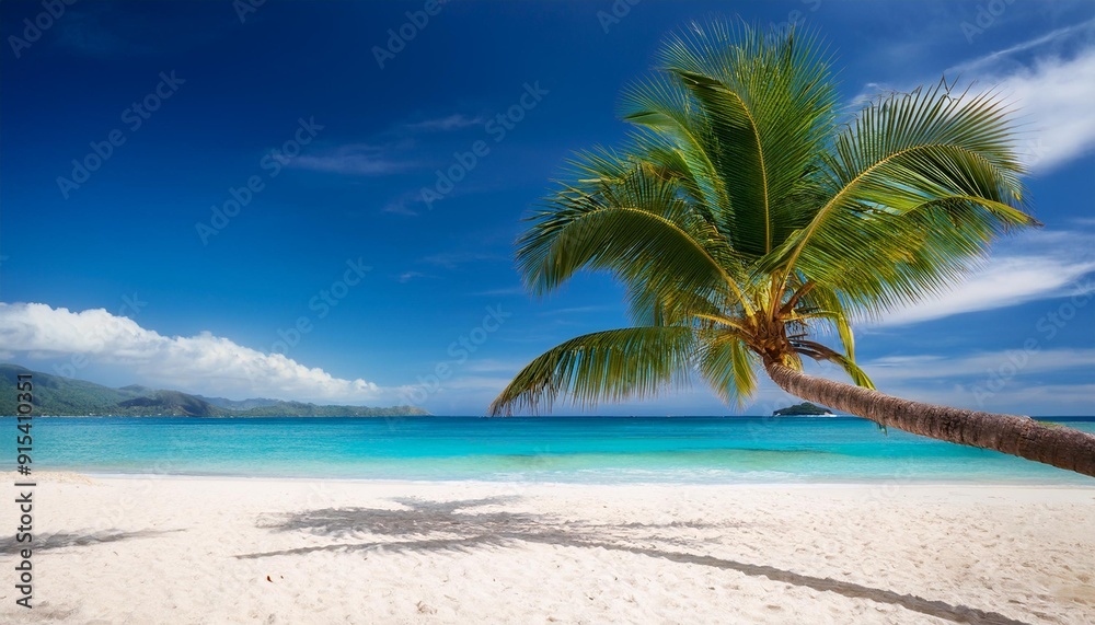 beach with palm trees,Beautiful sand beach with palm tree,Palm leaves shadows on sand textured background tropical, coconut, element, illustration, island, ocean, sand, sky, water, travel, paradise, beach with palm trees,Beautiful sand beach with palm tree,Palm leaves shadows on sand textured background tropical, coconut, element, illustration, island, ocean, sand, sky, water, travel, paradise,