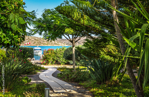 Serene Mediterranean seaside garden with lush, vibrant greenery. Foliage is rich and dense, with the deep green of the leaves contrasting beautifully against the bright. Mediterranean shimmer  photo