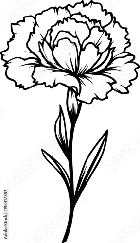 carnation flower silhouette Vector Illustration
