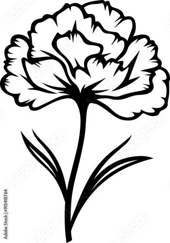 carnation flower Vector Illustration
