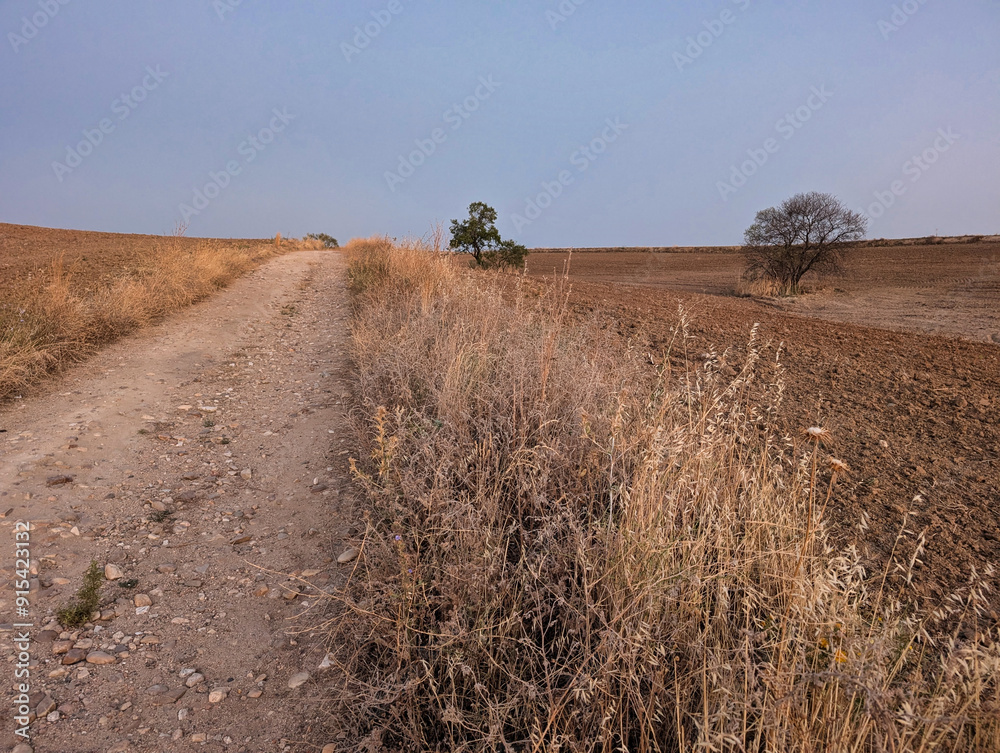 Obraz premium sunrise, landscape, view, nature, light, summer, field, spain, s