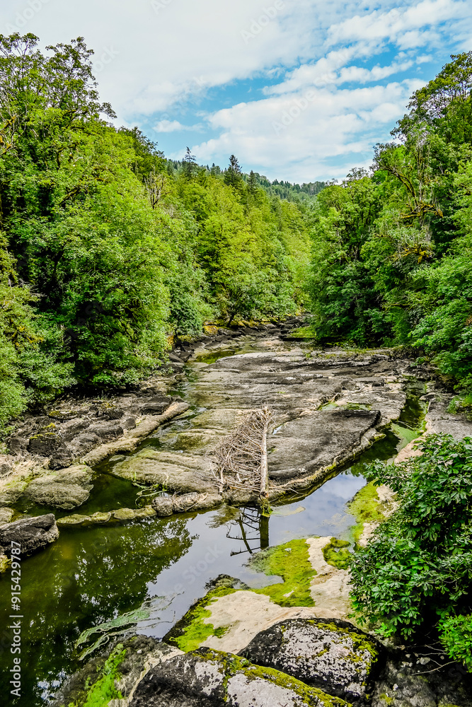 Les Brenets, le lac des Brenets, Felsen, Felswände, Doubs, Fluss, Le Locle, Ausflug, le Saut-du-Doubs, Jura, Juramassiv, Wald, Wanderweg, Sommer, Kanton Neuenburg, Schweiz, Frankreich Les Brenets, le lac des Brenets, Felsen, Felswände, Doubs, Fluss, Le Locle, Ausflug, le Saut-du-Doubs, Jura, Juramassiv, Wald, Wanderweg, Sommer, Kanton Neuenburg, Schweiz, Frankreich