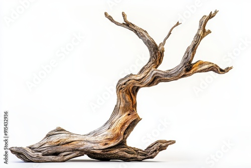 Background of transparent driftwood isolated from twisted driftwood