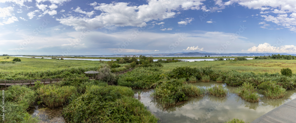 regional nature reserve of the mouth of the Isonzo river ,Friuli Venezia Giulia, Italy