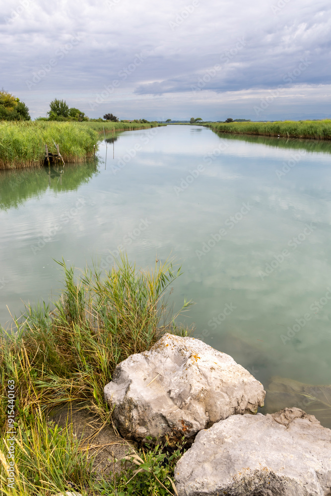regional nature reserve of the mouth of the Isonzo river ,Friuli Venezia Giulia, Italy