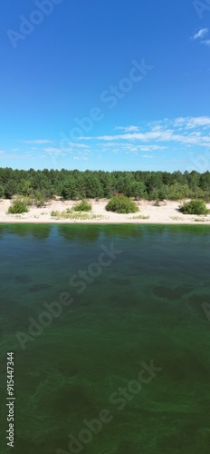 Wallpaper Mural Landscape of a beach with white sand and forest in sunny weather. Torontodigital.ca