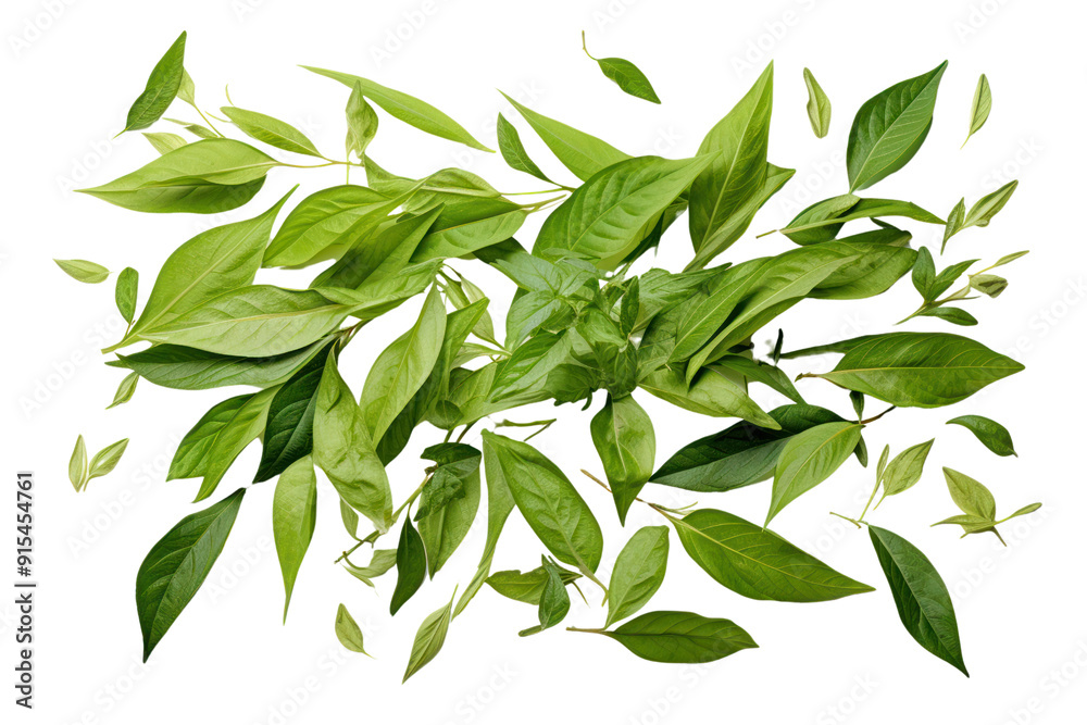Obraz premium Various green tea leaves, isolated on white background.
