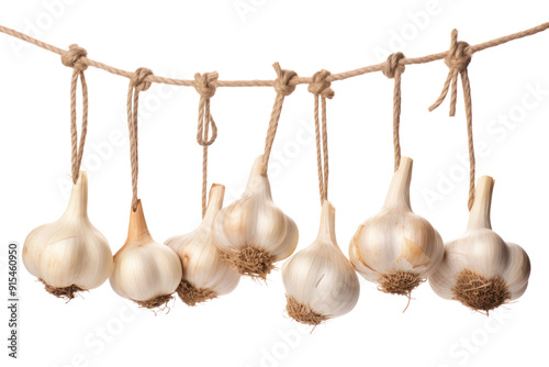 Garlic cloves hanging from a braided rope, isolated on a white background. photo