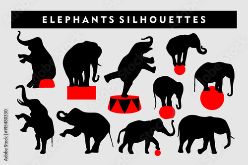 
Vector silhouettes of circus elephants