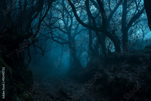 Spooky path in a dark, gloomy forest in the evening