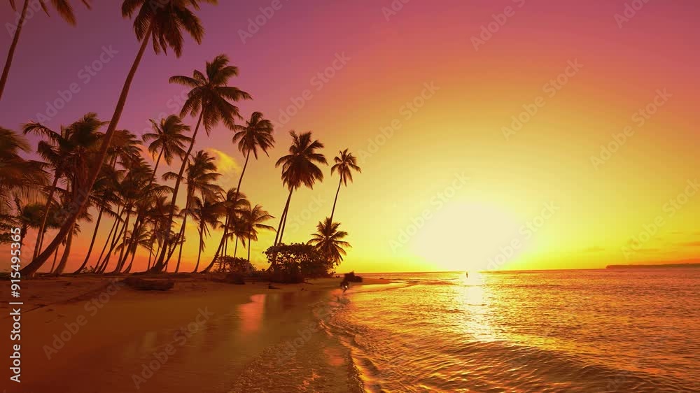 Sunny summer evening on tropical Hawaii island with palm beach. Warm calm sea and sunny palm beach. Picturesque summer landscape. Vivid nature of sea coast. Summer vacation.