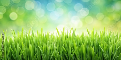 Green grass isolated on background. render , nature, plant, greenery, lush, vibrant, bright, eco-friendly, environmental, fresh