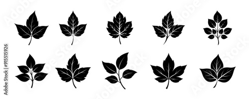 Leaves Silhouette Illustration set isolated on white background