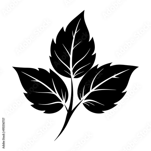 Leaf Silhouette Illustration isolated on white background