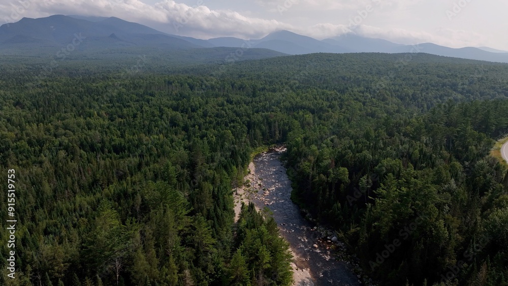 Fototapeta premium Vast green forest and mountains with clear water creek flowing through New Hampshire wilderness