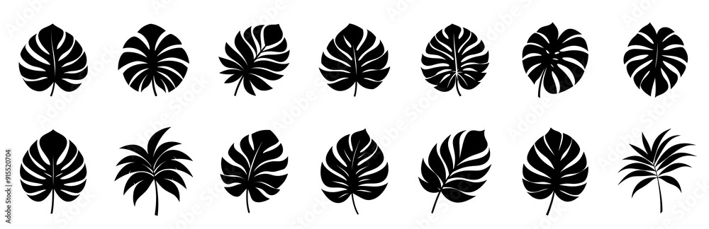 Palm Leaves Silhouette Illustration set isolated on white background Palm Leaves Silhouette Illustration set isolated on white background