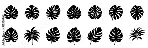 Palm Leaves Silhouette Illustration set isolated on white background