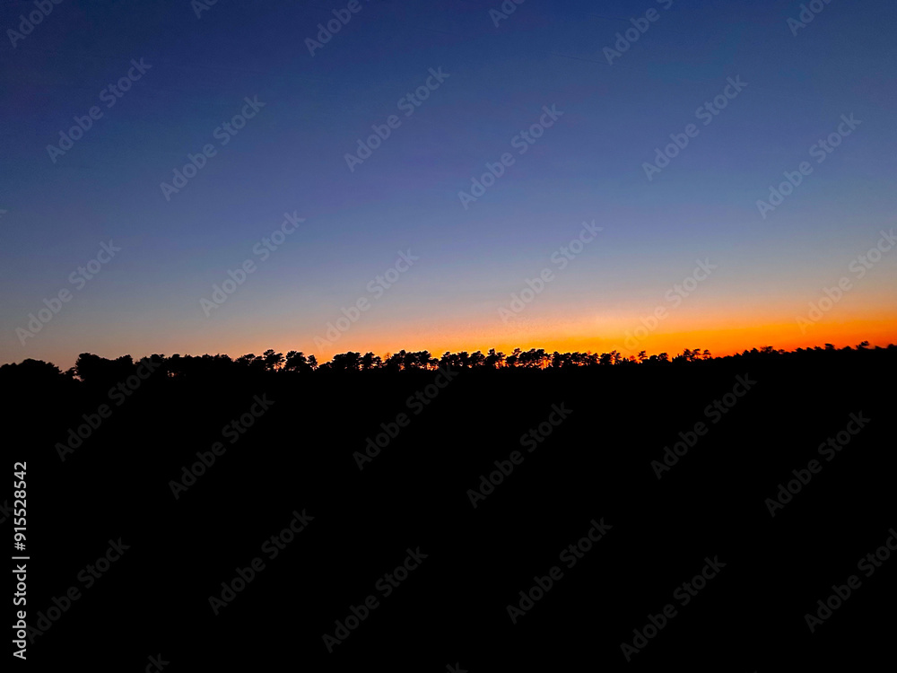 sunset trees silhouette sunset trees silhouette