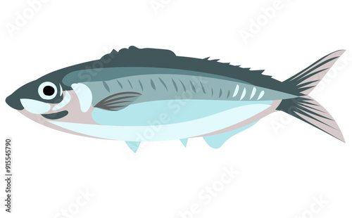 鯵のイラスト