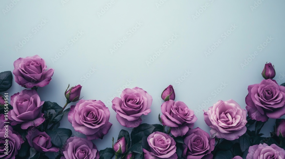 A close-up shot of a bouquet of purple roses against a bright blue background A close-up shot of a bouquet of purple roses against a bright blue background