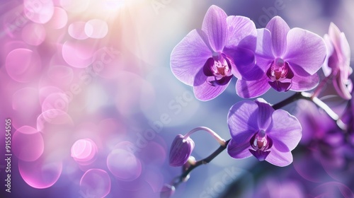 Vibrant Close-Up of a Purple Orchid Flower Petal in Full Bloom