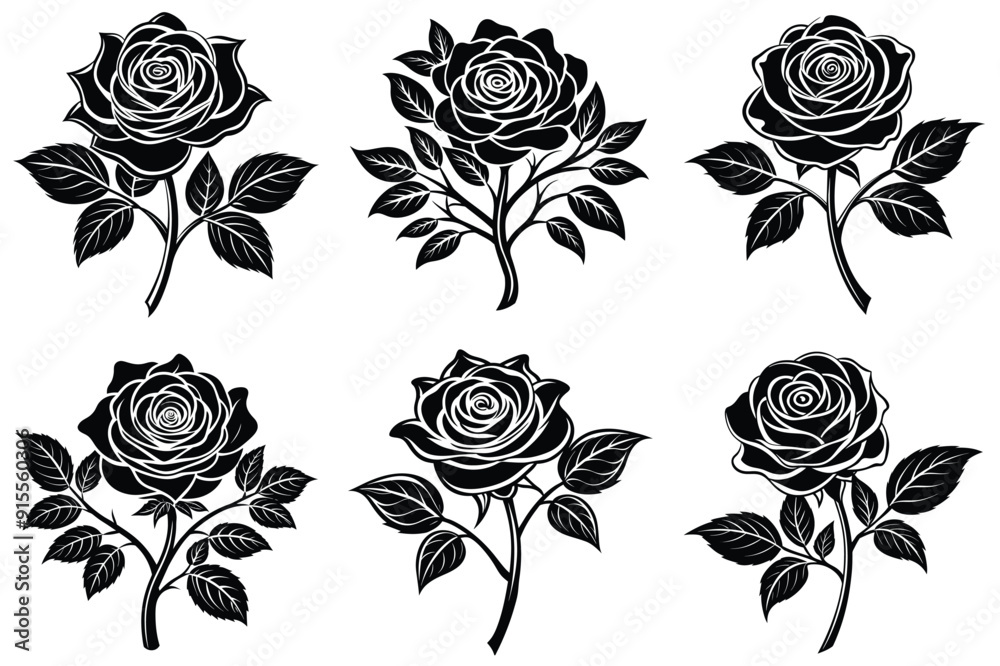 Rose flower with rose tree Rose flower with rose tree