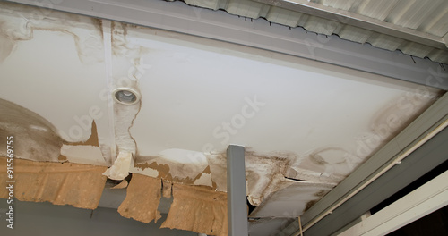 Office building or house problem for house service. Ceiling panels with fungus outside house from water pipes damaged or rainy leaked.