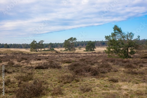 Obraz na płótnie Hoge Veluwe w salonie