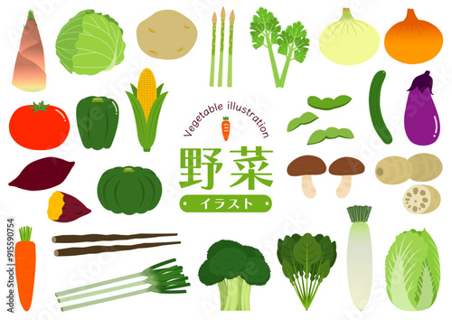 色々な野菜のイラストのセット