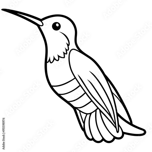 Hummingbird isolated on white, hummingbird vector illustration, bird on a branch vector art, hummingbird silhouette, bird vector icon, hummingbird on a branch line art, eps, hummingbird on a branch ca