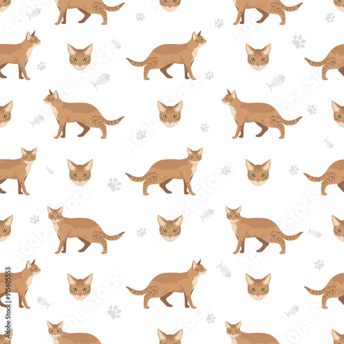 Chausie Cat seamless pattern. All coat colors set.  All cat breeds characteristics infographic. Vector illustration