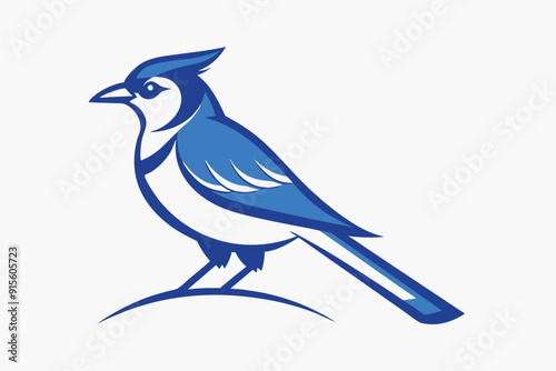 Blue Jay Bird Vector Illustration on White Background. photo