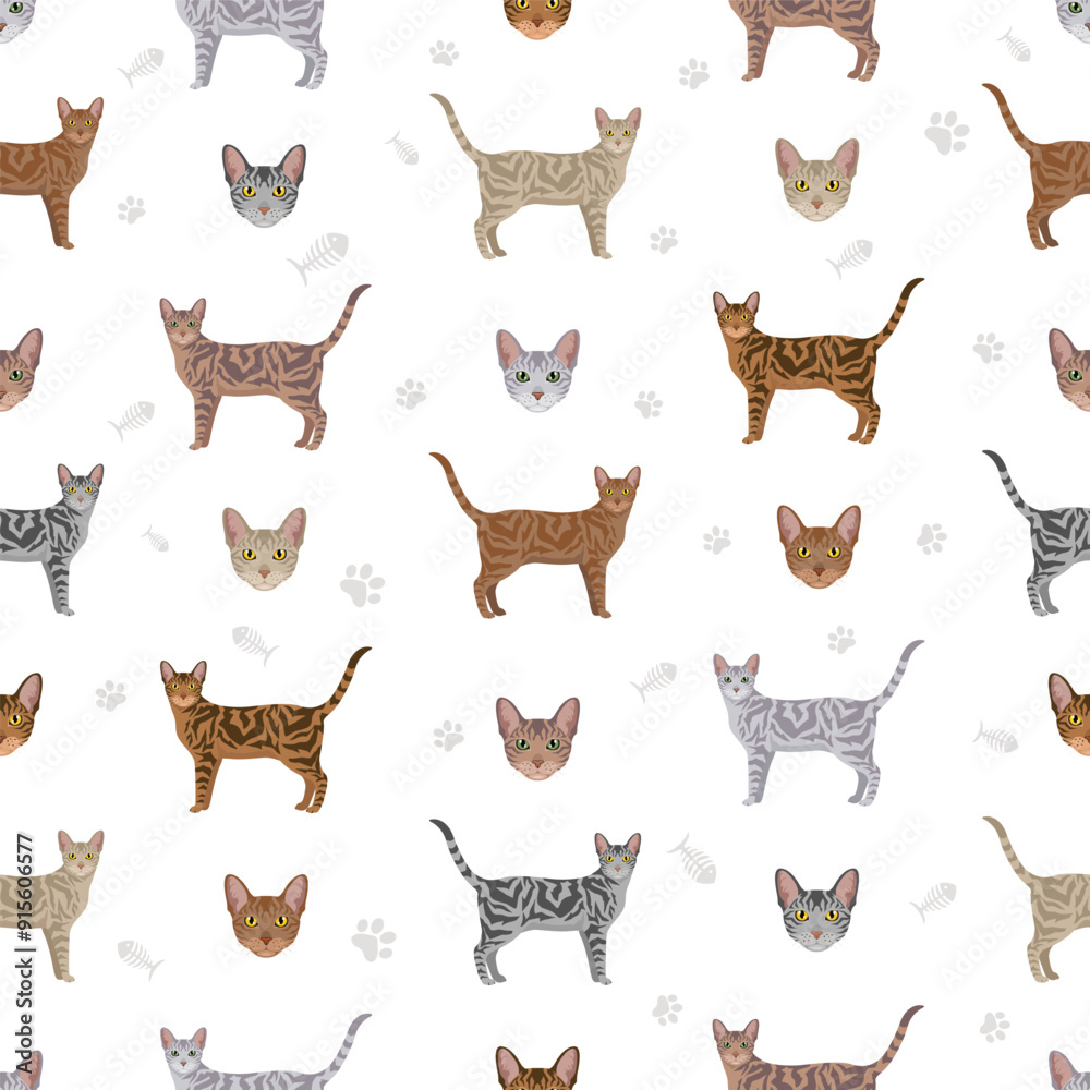 Classicat, Jungala Cat seamless pattern. All coat colors set. All cat breeds characteristics infographic. Vector illustration Classicat, Jungala Cat seamless pattern. All coat colors set. All cat breeds characteristics infographic. Vector illustration