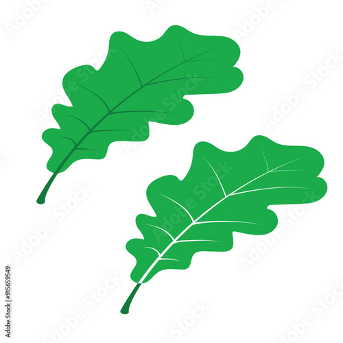 Oak Leaf 