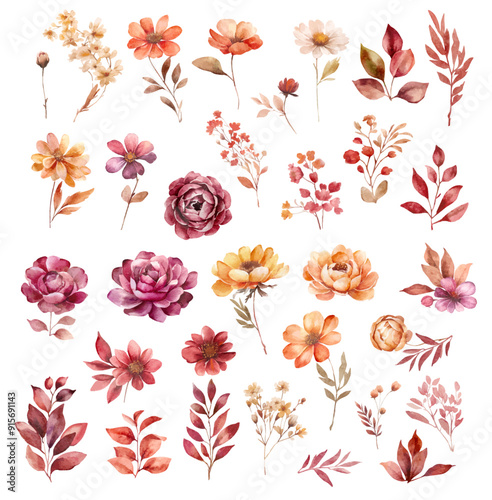 Set of watercolor vector flowers. autumn dark flowers, brown and yellow flowers and leaves on transparent background. Separate floral elements. watercolor dried flowers vector