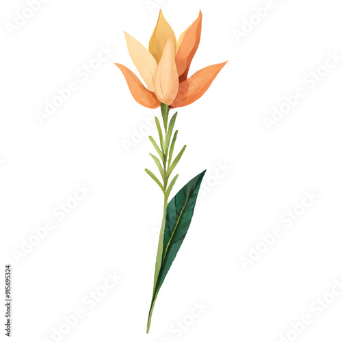 Single orange flower with green leaf isolated on white.