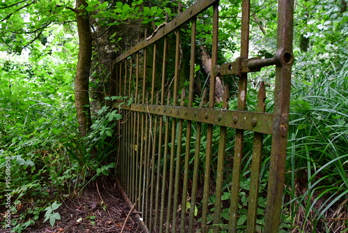 Old rusty gate, Cahir, Co. Tipperary, Ireland