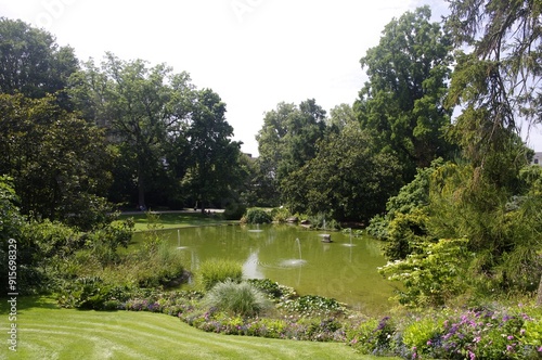 Jardin des plantes