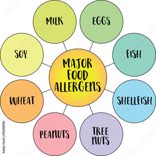 big eight food allergens responsible for the majority of food allergy reaction, health and diet concept, diagram infographics