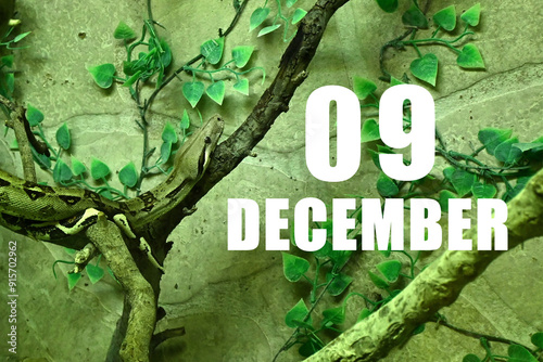 Calendar date on light green background with snake crawling on tree branch. December 9 is the ninth day of the month