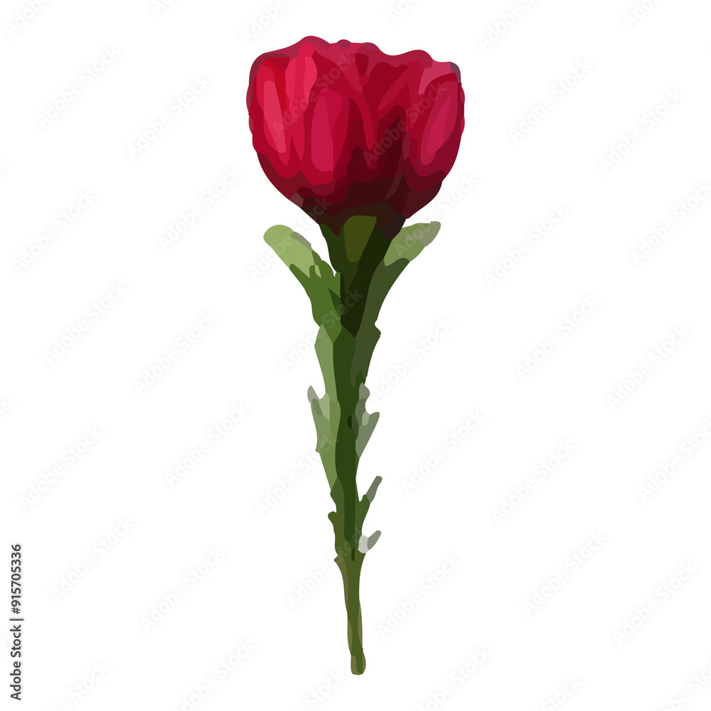 Single red rose with green stem and leaves isolated on white background. Single red rose with green stem and leaves isolated on white background.