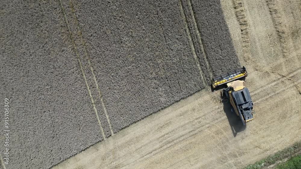 Drone shot of a combine harvester harvesting barley in early August near Maidstone, Kent, UK. Drone shot of a combine harvester harvesting barley in early August near Maidstone, Kent, UK.