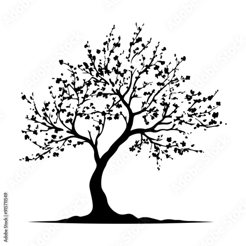 Cherry Blossom Tree, vector black color silhouette, isolated white background