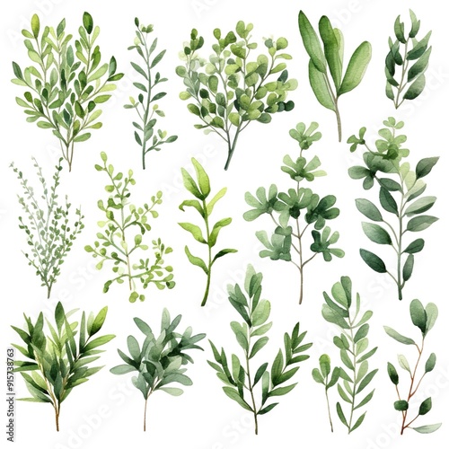 Wallpaper Mural Watercolor illustration of 18 different green leaves and branches isolated on white background. Torontodigital.ca