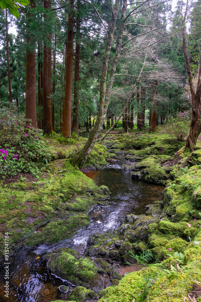 Fototapeta premium Tranquil stream in a picnic park on Terceira Island, Azores, Portugal. A serene and picturesque natural scene perfect for relaxation and nature-themed content.