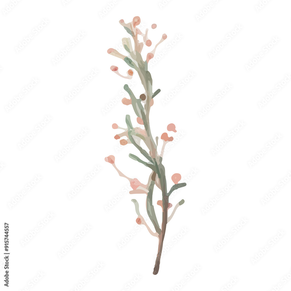 Watercolor illustration of a delicate twig with pink buds. Watercolor illustration of a delicate twig with pink buds.