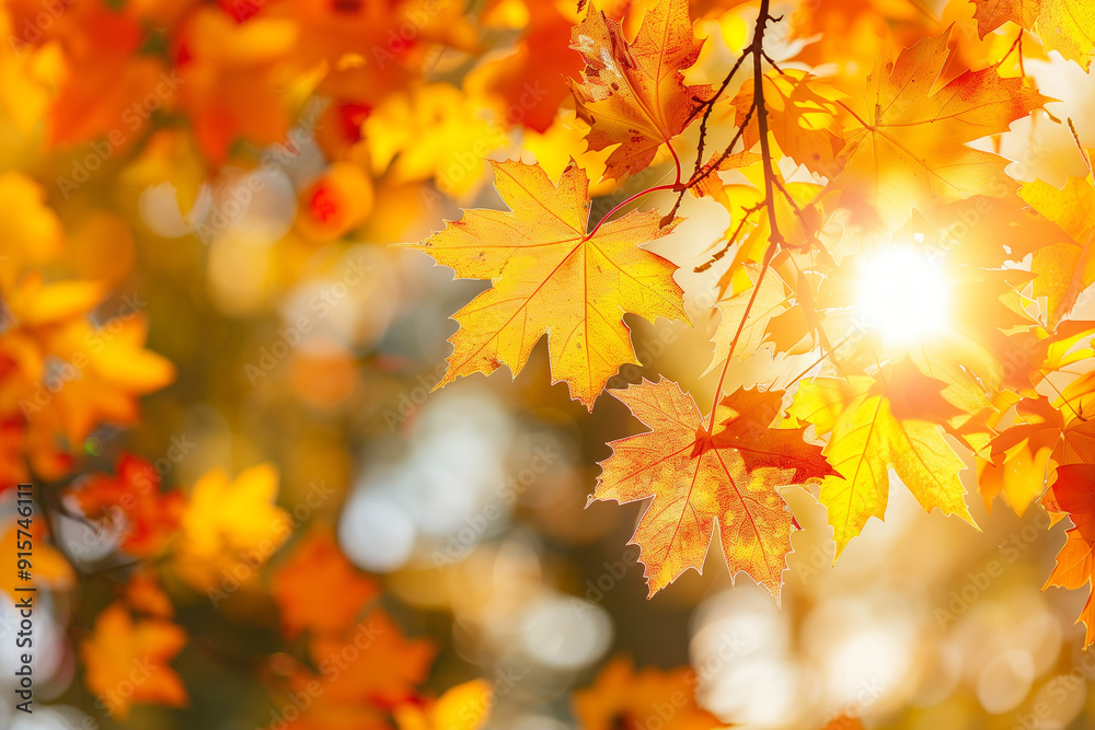 A close-up shot of vibrant autumn leaves illuminated by the warm, golden sunlight, creating a glowing and serene fall atmosphere A close-up shot of vibrant autumn leaves illuminated by the warm, golden sunlight, creating a glowing and serene fall atmosphere