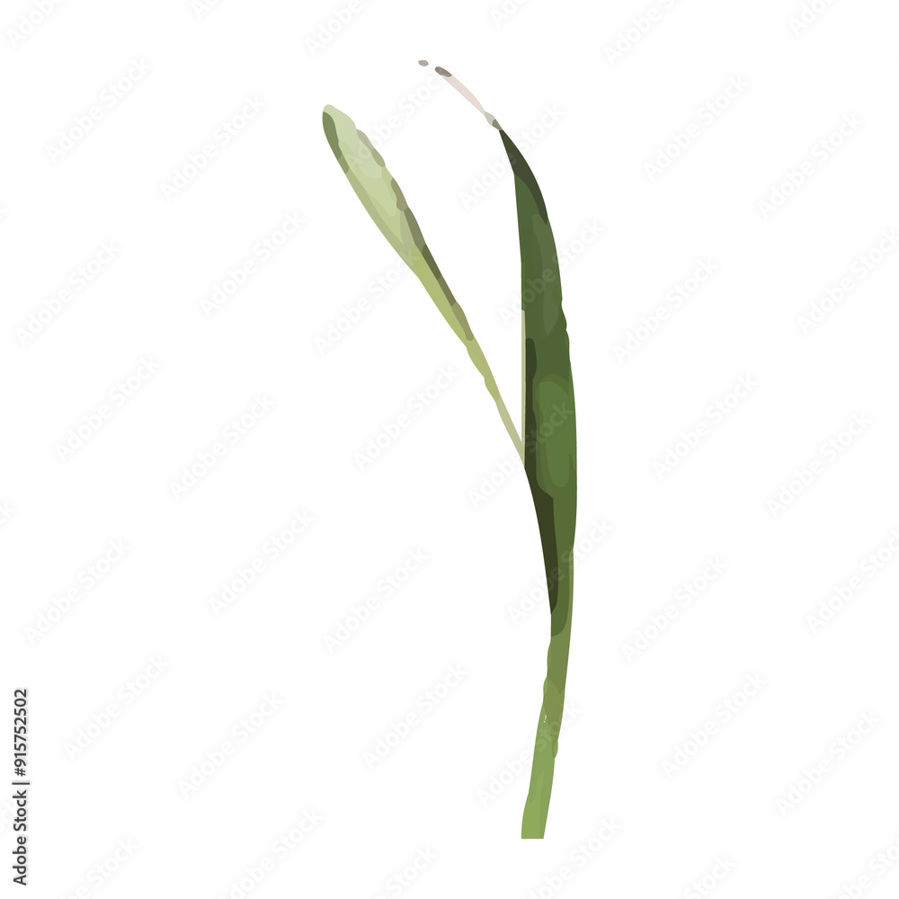 Watercolor illustration of a green leaf with a bud. Watercolor illustration of a green leaf with a bud.