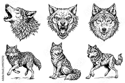 A series of wolf drawings with different expressions
