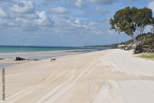 Sailing on the crystal clear turqoise blue water around the white sand beaches of Fraser Island in Queensland, Australia photo